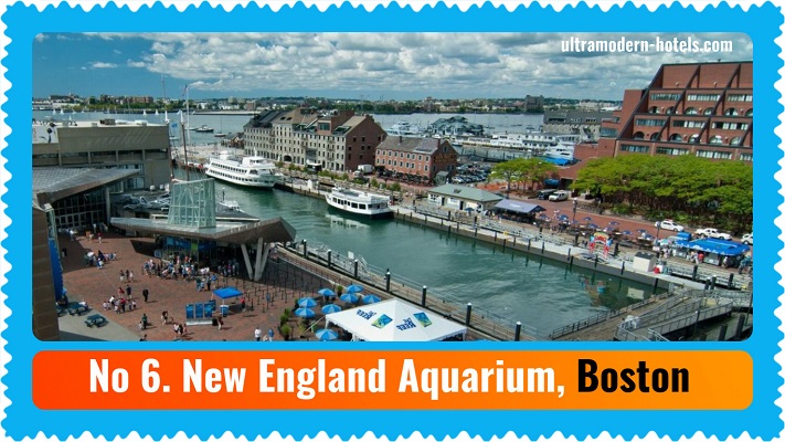 The best aquariums in the United States: Top 10 Must-See
